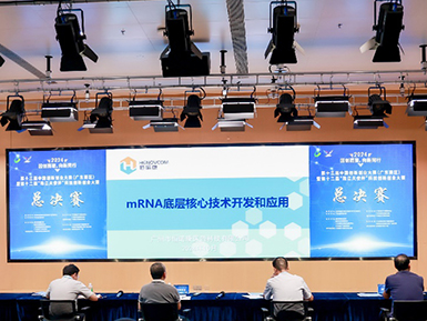 凯发k8马竞赞助荣获第十三届中国创新创业大赛（广东赛区）二等奖